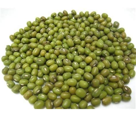 fresh high quality myanmar green mung bean good quality,South Africa ...