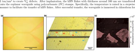 FIG. S1. Optical image of the coplanar waveguide (a) Overview of the ...