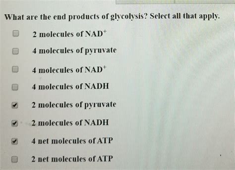 Solved What are the end products of glycolysis? Select all | Chegg.com