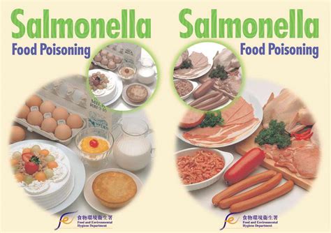 An Unforgettable Salmonella Illness | Food Poison Journal