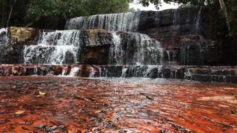 El spa natural más lujoso queda en la selva venezolana - RT