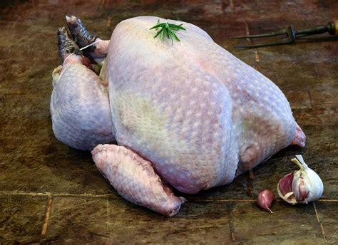 Buy Free Range Bronze Turkey online | Wild Meat Company