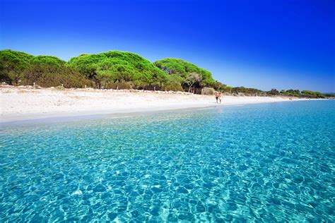 10 Best Beaches in Corsica - Which Corsica Beach is Right for You? – Go ...