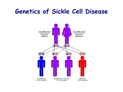 PPT - Regenerative Medicine to Cure Sickle Cell Anemia PowerPoint ...