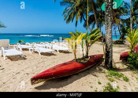 Starfish Beach panama Stock Photo - Alamy