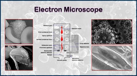 Electron Microscope Invention: A Historical Overview 1930-80