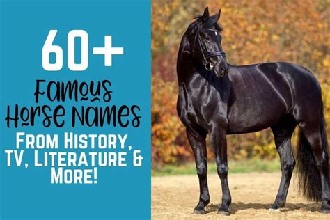 60+ Famous Horse Names from History, TV, Literature & More! - Helpful ...