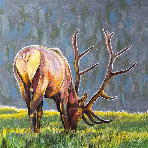 Elk Paintings