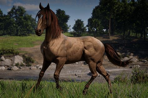 Buckskin Mustang Rdr2 Online : American Standardbred Rdr 2 Red Dead ...