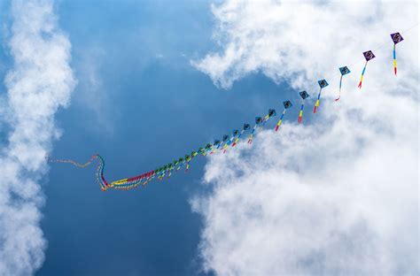 What Is Kite Festival And How Is It Celebrated? Come And Explore