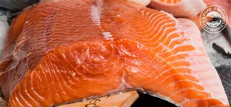 Buy Fresh Copper River King Salmon Fillet Online – Pure Food Fish Market