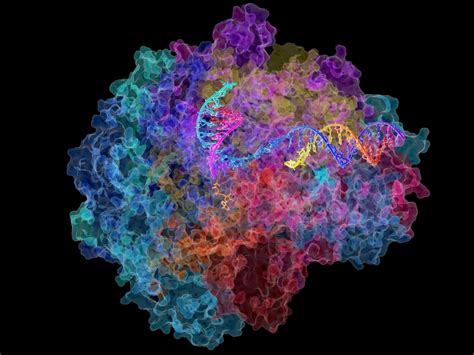 Alteraciones en el procesado del ARN mensajero como rasgo molecular de ...