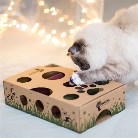 Cat Amazing – Best Cat Toy Ever! Interactive Treat Maze Puzzle Feeder ...