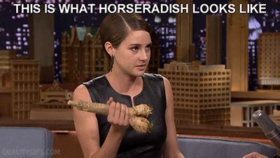 Tonight Show GIF - Find & Share on GIPHY