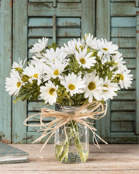 Daisy Arrangements and Bouquet Ideas