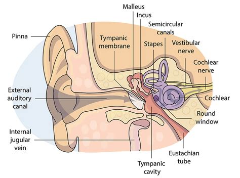 Benign Paroxysmal Positional Vertigo (BPPV): Treatment,, 53% OFF