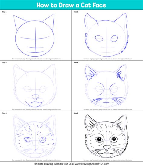 How to Draw a Cat Face (Cats) Step by Step | DrawingTutorials101.com