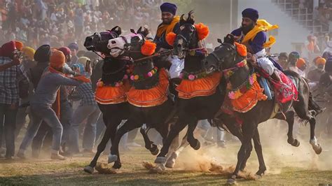 In Pictures: Nihang Sikhs Celebrate Hola Mohalla Festival