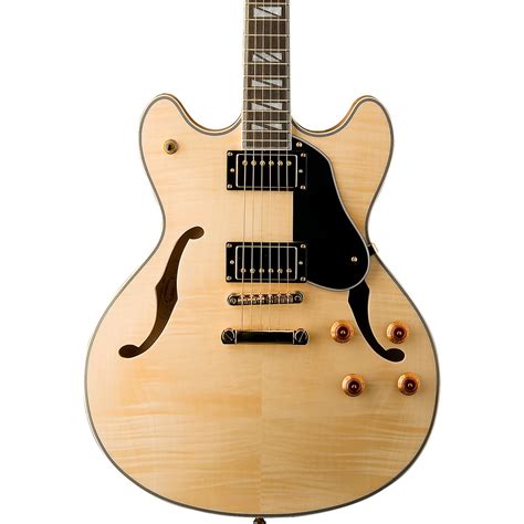 Washburn HB35 Semi-Hollow Electric Guitar - Woodwind & Brasswind