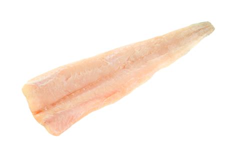 Fresh Hake-Fillet Price in Dubai | East Fish Processing