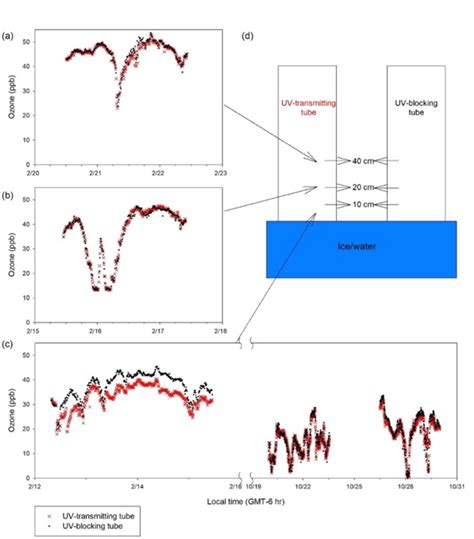 Ozone concentrations in the boundary layer air inside the... | Download ...