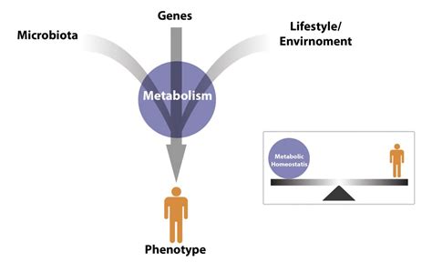 Metabolomics for Early Stage Cancer Detection Technology