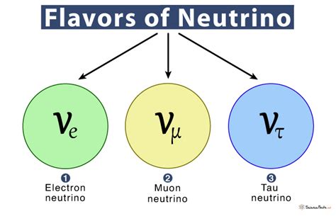 Neutrino - Definition, Mass, Symbol, and Flavors with Diagram