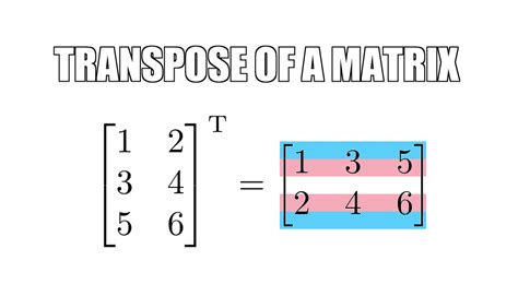 Linear traaaaaalgebra! : r/traaaaaaannnnnnnnnns