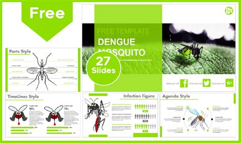 Dengue mosquito Template - PowerPoint Templates and Google Slides