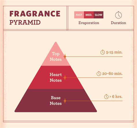 Fragrance Notes: Everything You Need to Know | FragranceX