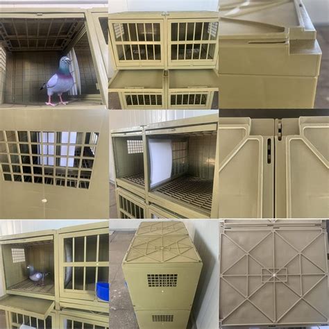 Pigeon Cage Breeding Cage for Pigeon Pairing Cage – Madee's Pet Supplies