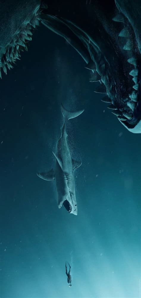 Palabras clave de fondo de pantalla: megalodon | Peakpx