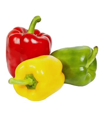 Buy Capsicum Seeds 0.1gm Intact Pack Mixed Color at Best Price In ...