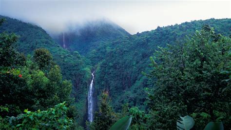 Carbet Falls Guadeloupe – Bing Wallpaper Download