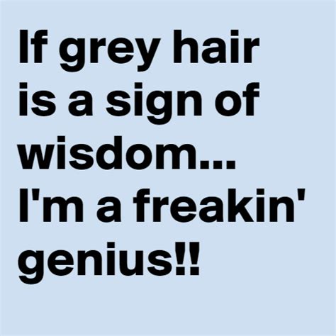 Gray Hair Funny Quotes. QuotesGram | Hair quotes funny, Grey hair ...