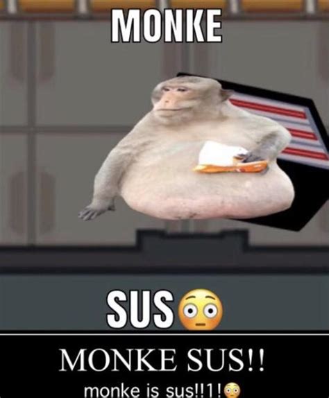 OMG GUYS THE MONKE IS SUS???!!!?? : r/memes