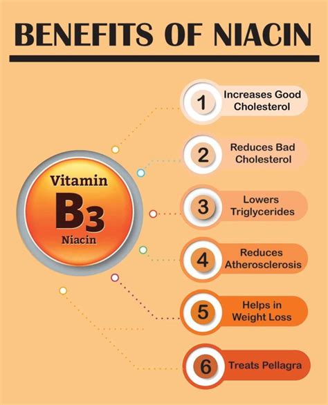 Niacin (Vitamin B3) | Which Supplements contain it and where is Required