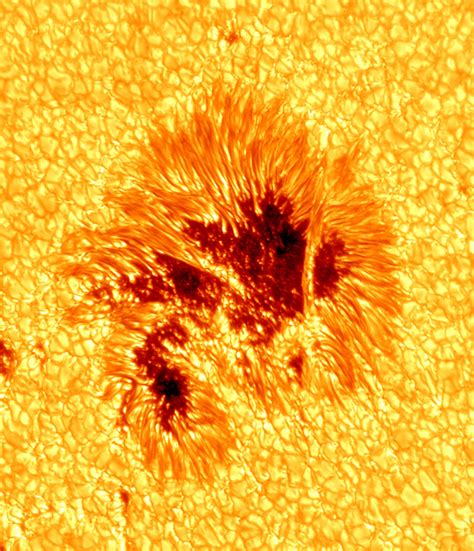 Sunspot Photo Shows Solar Phenomena In Never-Before-Seen Detail ...