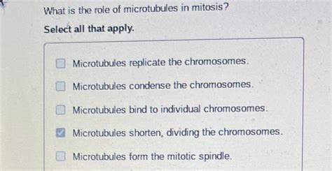 Solved What is the role of microtubules in mitosis? Select | Chegg.com