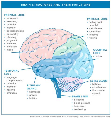 Signs & Symptoms