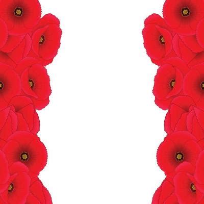 Poppy Border Vector Art, Icons, and Graphics for Free Download