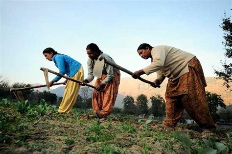 Is the Peasantry in the Tiny State of Himachal Heading For a Major ...