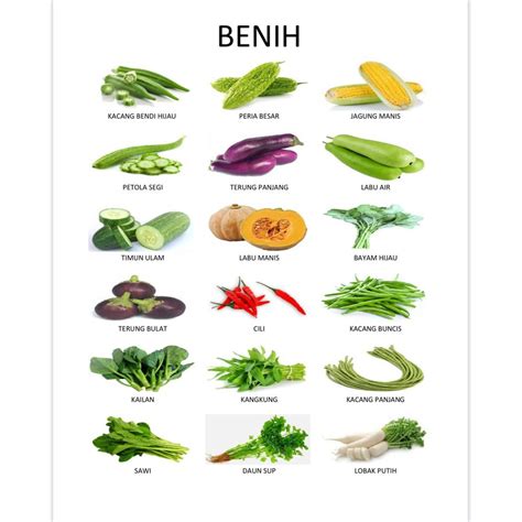 Pelbagai Jenis Biji Benih Sayur-Sayuran | Shopee Malaysia