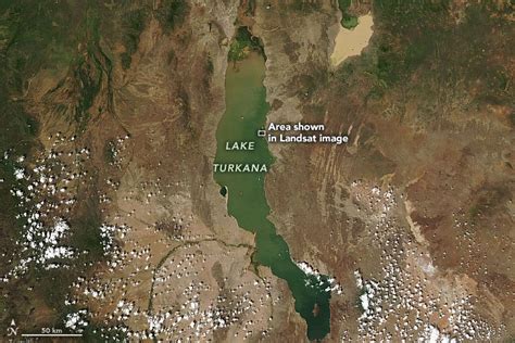 Lake Turkana Map