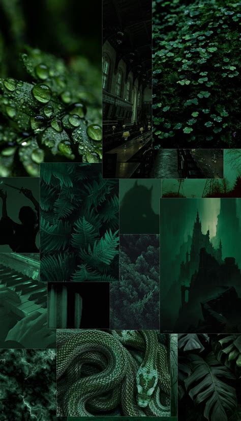 Dark green aesthetic 🌲🦕🍏 in 2022 | Dark green aesthetic, Dark green ...