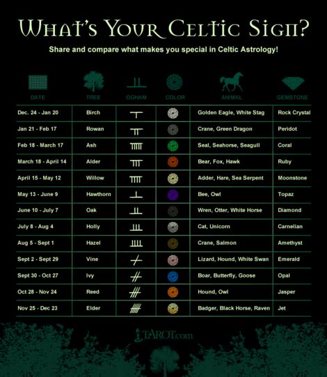 What's Your Celtic Tree Sign? Find Out!