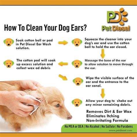 What To Use To Clean Dogs Ears - PetsWall