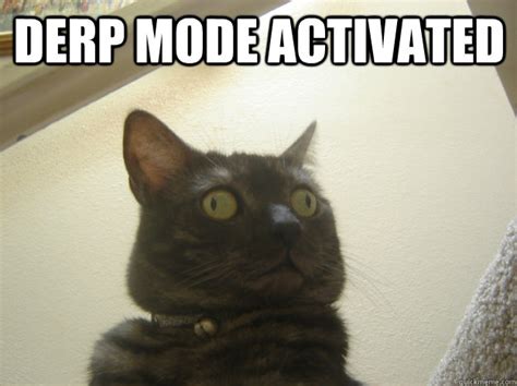 Derp Cat memes | quickmeme