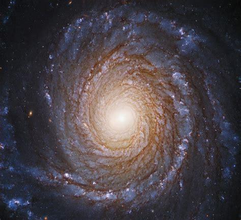 Spiral Galaxies More Likely to Host Complex Life: Study | Sci.News