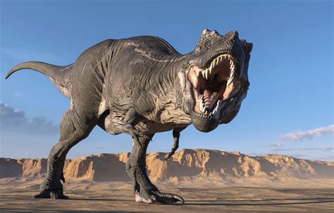 New study estimates shocking number of T. rexes in Earth’s history – BGR